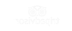 TripAdvisor logo